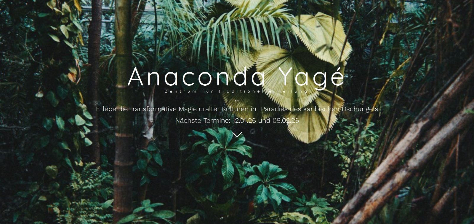 Anaconda Yagé – Webseite für schamanische Retreats