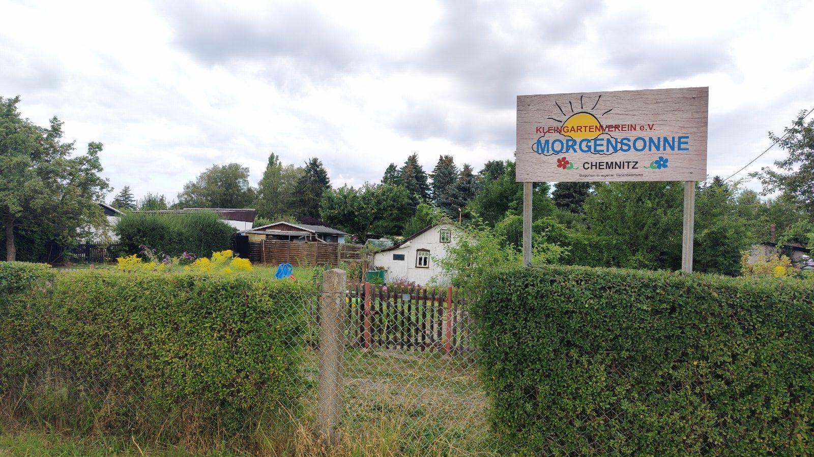 Zweites neues Eingangsschild des Kleingartenvereins Morgensonne Chemnitz mit gedrucktem Holzfurnier-Hintergrund und digital nachbearbeiteten Motiven, aufgestellt vor grüner Vegetation